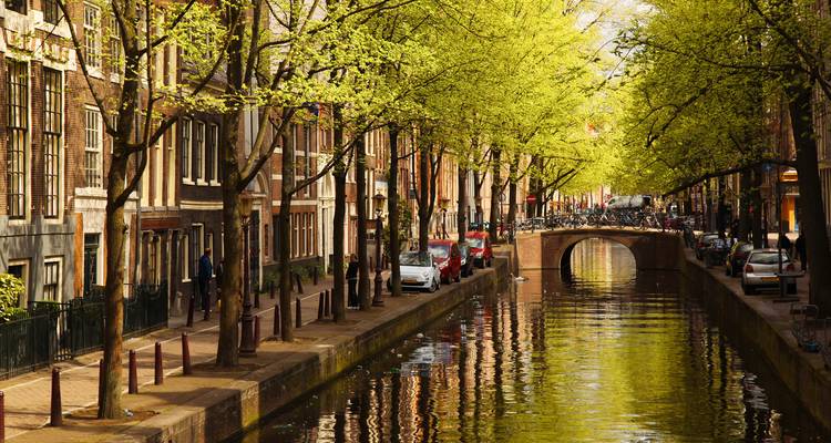 Zonbeschenen gracht in Amsterdam met groene bomen en brug.