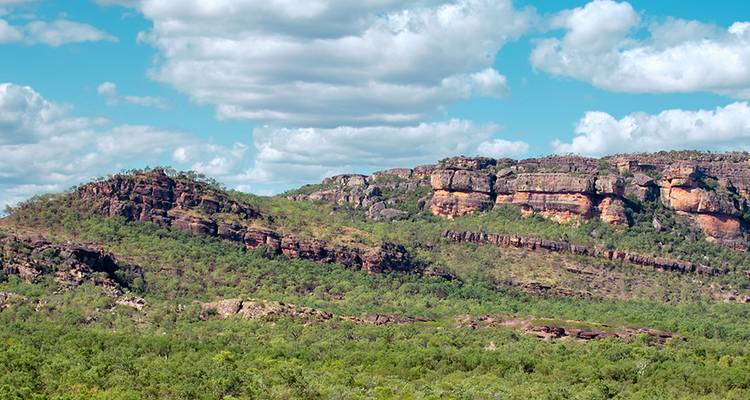 Plateau rocheux avec des arbres et des buissons sous un ciel bleu.