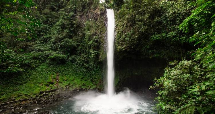 Cascada alta rodeada de exuberante follaje verde.