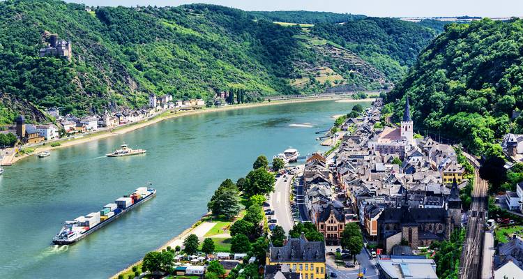 Vue sur le Rhin avec collines vertes et ville.