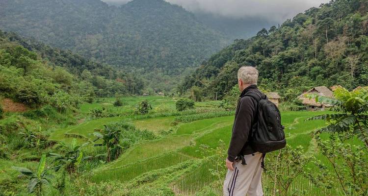 Man looking over rice terraces and lush forest.