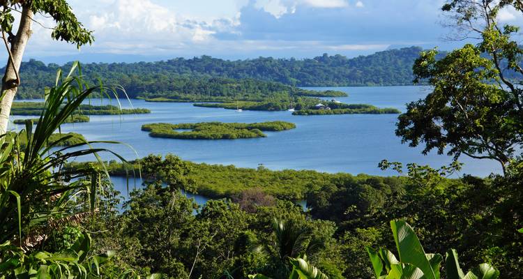 Üppige tropische Aussicht über mangrovengesäumte Inseln und eine blaue Lagune in Bocas del Toro