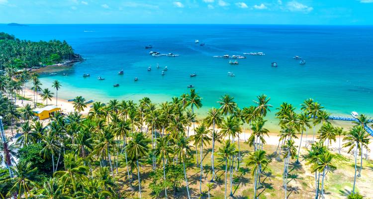 Aerial view of a tropical beach lined with palm trees.