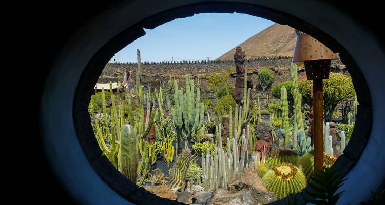 Vue à travers une fenêtre circulaire sur un jardin de cactus.