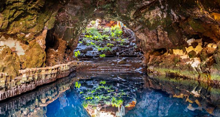 Intérieur verdoyant et luxuriant d'une grotte avec reflet d'eau.