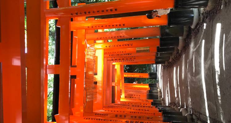 A pathway under brightly colored torii gates with people.