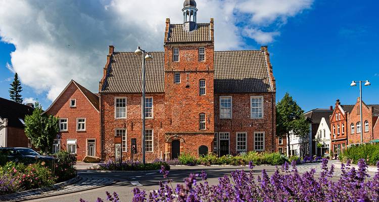 Charmant bâtiment en briques avec des fleurs colorées au premier plan