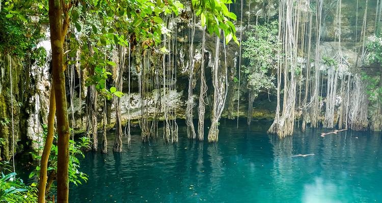 Scenic view of a cenote with lush vegetation