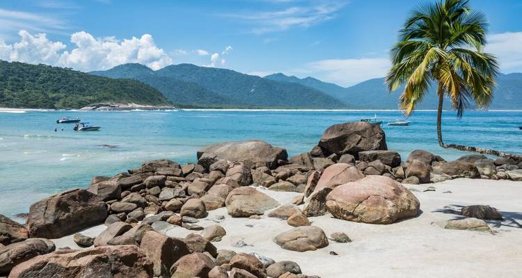 Une scène de plage tropicale avec un palmier solitaire, un rivage rocheux et des montagnes à l'arrière-plan.