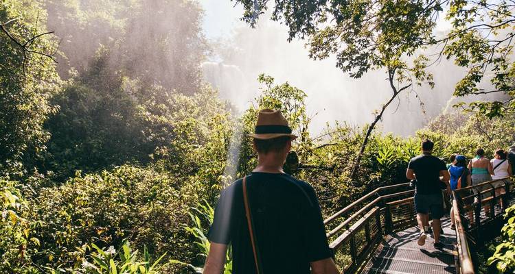 Des gens marchant sur un sentier en bois à travers une jungle dense près d'une cascade.