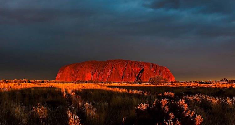 L'emblématique Uluru rougeoyant d'un rouge profond sous un ciel dramatique couvert au coucher du soleil avec des prairies dorées en avant-plan.