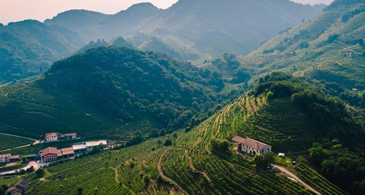 Viñedos de Prosecco en terrazas verdes que se extienden por las colinas con algunas casas de campo dispersas en el norte de Italia.