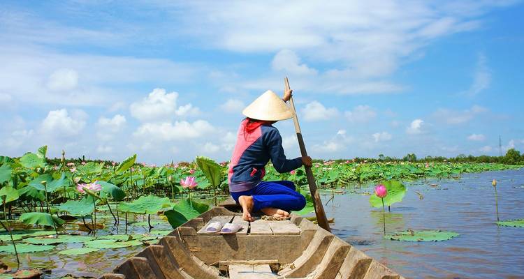 Un local con sombrero cónico rema un bote de madera por un campo de loto rosa en flor en el Delta del Mekong.