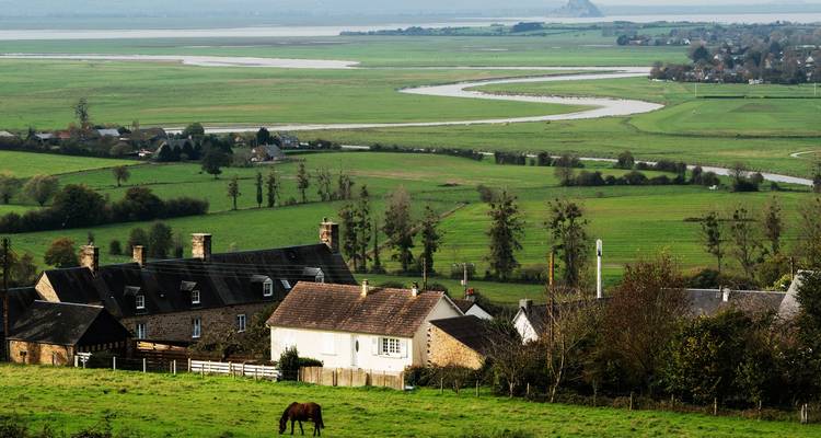 Un paysage rural avec des champs verts et un cheval au premier plan.