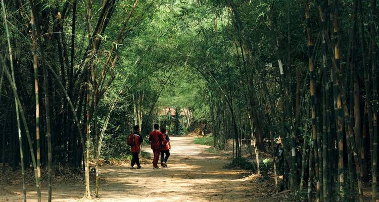 Des enfants marchant le long d'un sentier en bambou.