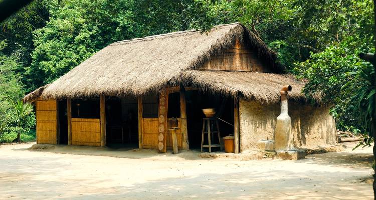 Maison traditionnelle en bambou et chaume dans une forêt.