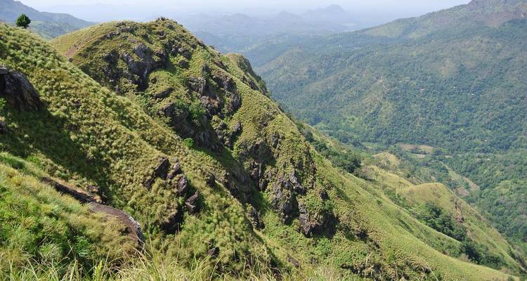 Scenic view of lush green mountains and valleys.
