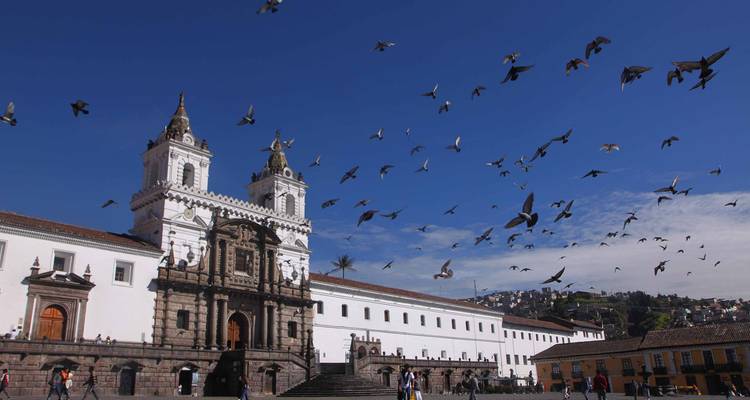 A historic plaza with birds fluttering above.