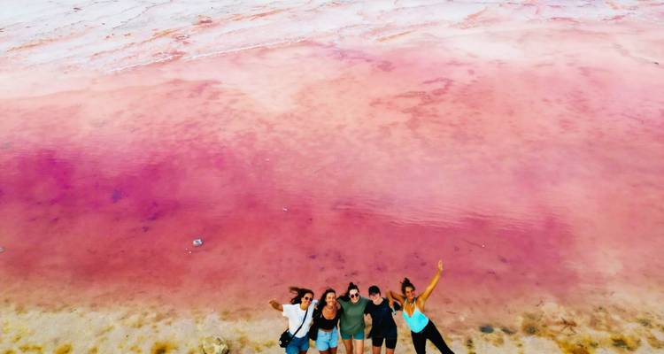 Drone shot of five friends celebrating beside vivid pink lake water.