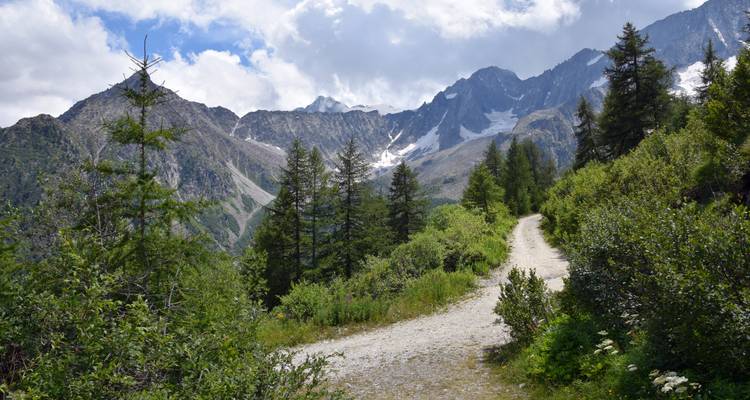 Bergpfad, der sich durch eine malerische Alpenlandschaft schlängelt.