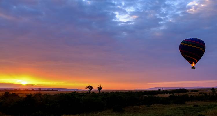 Vol en montgolfière au-dessus de la savane au lever du soleil.