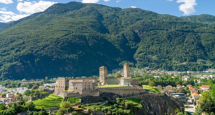 Medieval hill-top stone castle with towers surrounded by lush green mountains and a small town below.