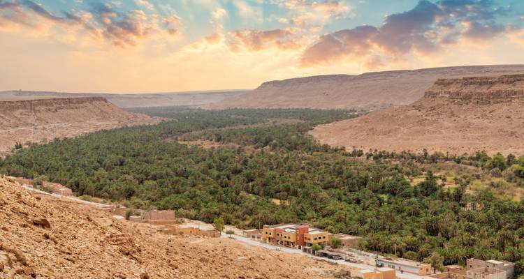 Wide desert valley filled with a lush date-palm oasis under a colourful sunrise sky.