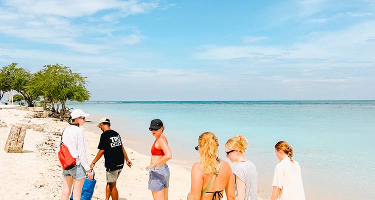 Group walking along a deserted beach.