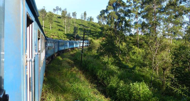 Een schilderachtige treinreis door een weelderig groen heuvellandschap.