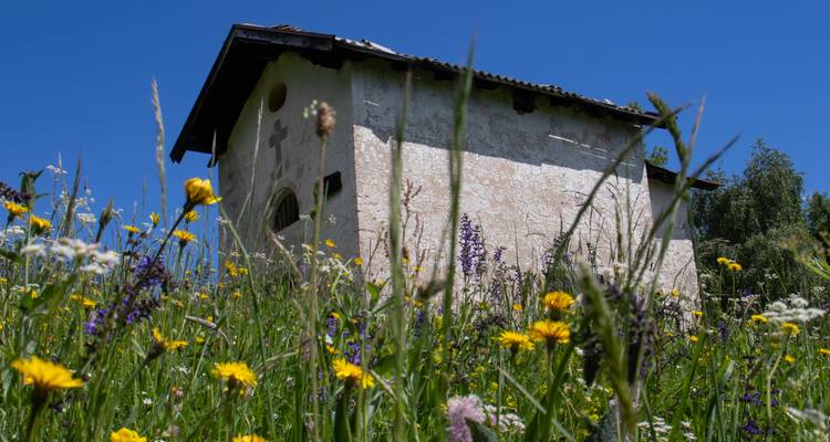 Bâtiment rustique dans un champ de fleurs sauvages sous un ciel bleu dégagé.