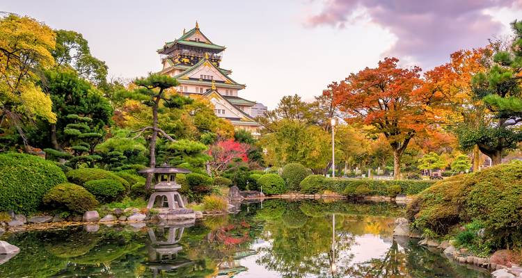 A traditional Japanese garden with a castle and autumn foliage.