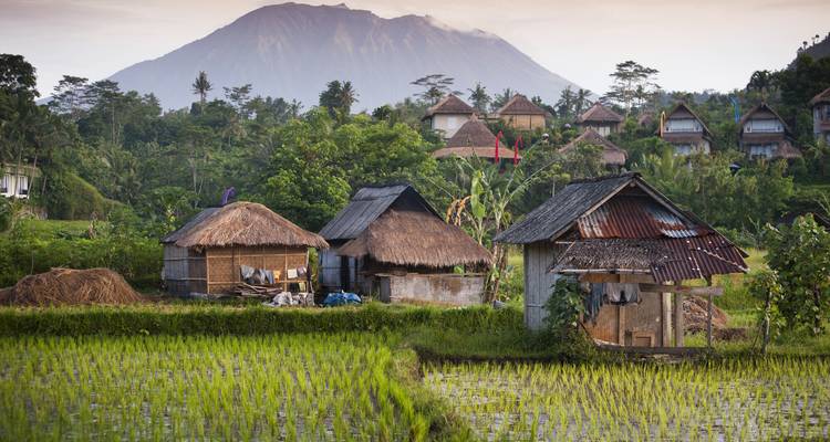 Traditional huts surrounded by rice paddies and a mountain.