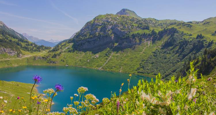 Panoramablick auf einen See, umgeben von Bergen und Blumen im Vordergrund.