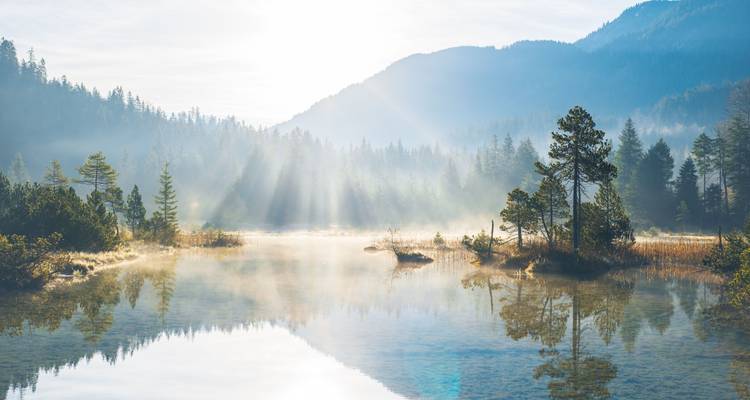 Malerische Aussicht auf einen See mit Sonnenstrahlen, die durch die Bäume scheinen.