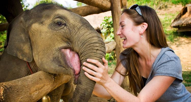 Femme interagissant avec un petit éléphant.
