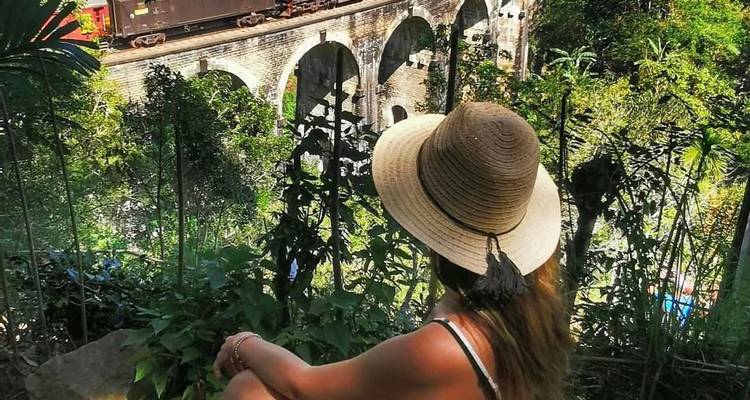 Femme regardant un train passer sur un pont entouré d'une végétation luxuriante.