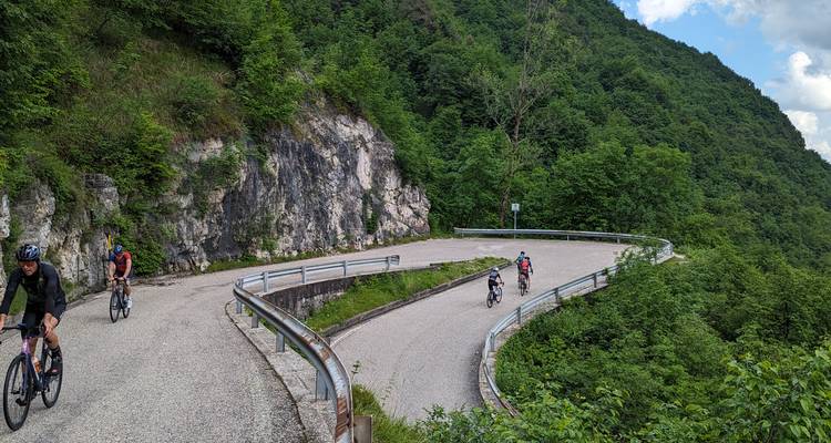 Cyclistes sur une route de montagne sinueuse avec une végétation luxuriante.