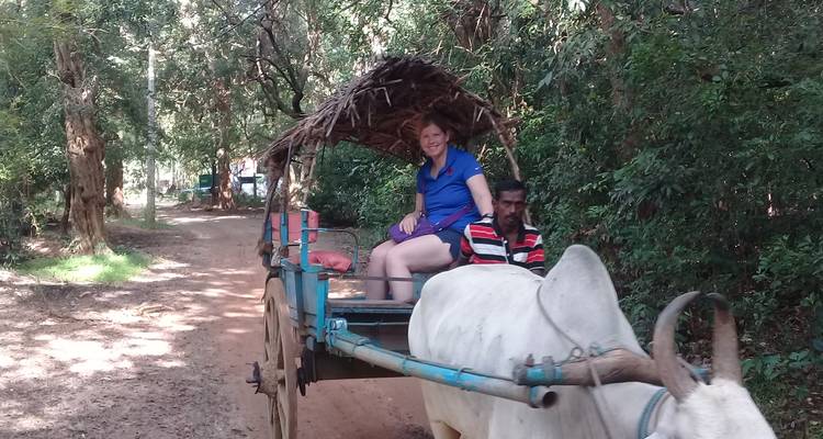 Personne conduisant une charrette à bœufs le long d'un sentier forestier.