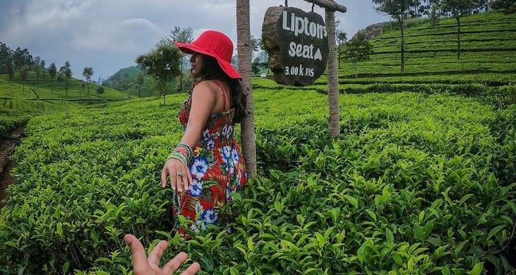 Femme dans une robe éclatante guidant le spectateur à travers un champ de thé.