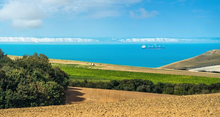 Vue panoramique d'un paysage marin avec des falaises, des champs et un navire au loin.