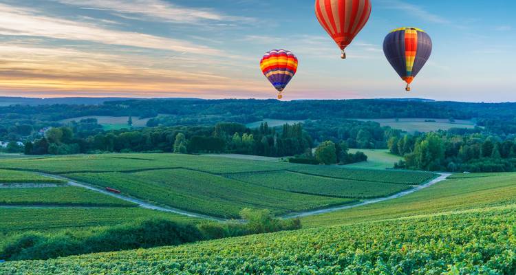 Montgolfières au-dessus de vignobles luxuriants au lever du soleil près de Reims.