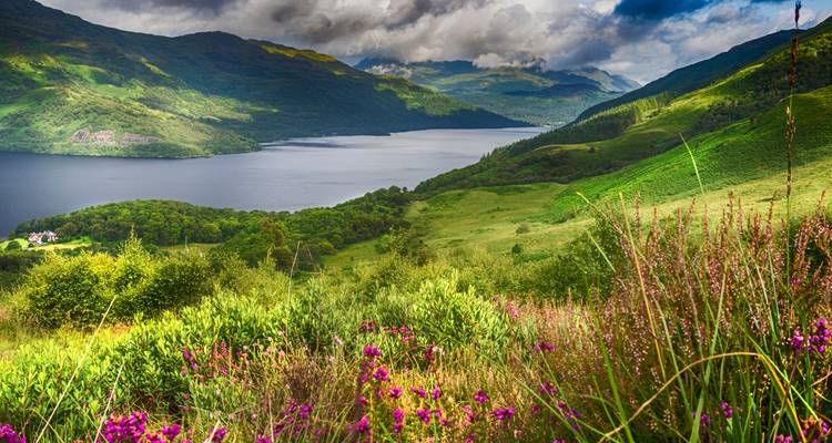 Vue panoramique d'un lac entouré de collines vertes et de fleurs violettes.