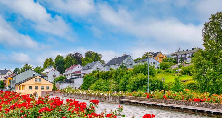 Village coloré à flanc de colline avec des fleurs au premier plan.
