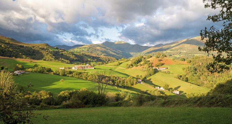 Üppige grüne Landschaft mit Bergen im Hintergrund.