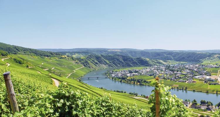 Weite Weinberglandschaft mit einem Fluss, der sich durch sanfte Hügel windet, und einer kleinen Stadt.