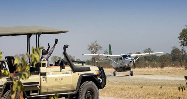 Small aircraft near a safari vehicle in the savannah.