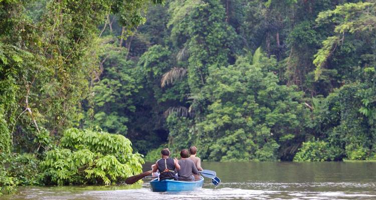 A group paddling a canoe on a river surrounded by dense greenery.