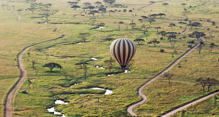 Hot air balloon flying over the savanna landscape.