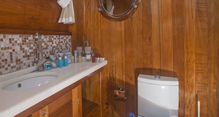 Baño de madera con lavabo e inodoro en un barco.