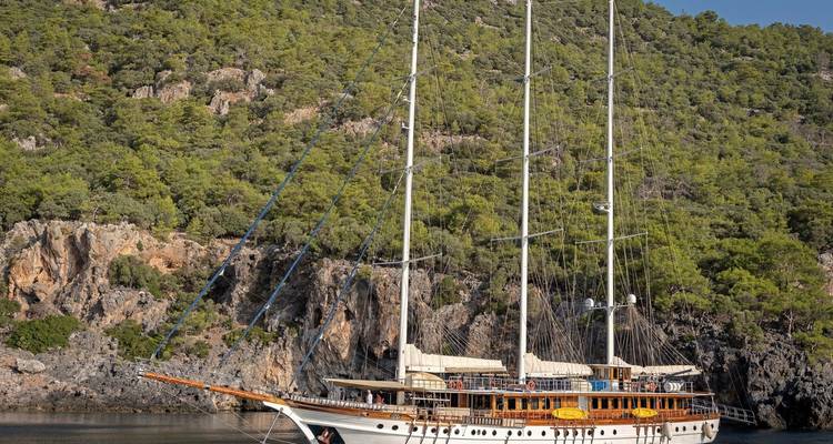 Grote zeilboot voor anker nabij een weelderige beboste kustlijn.